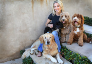 Sit, Stay, Love: Top Tips from a Dog Trainer to the Stars